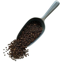 Poivre noir grain 100 g Piper nigrum