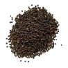 Poivre noir grain 100 g Piper nigrum