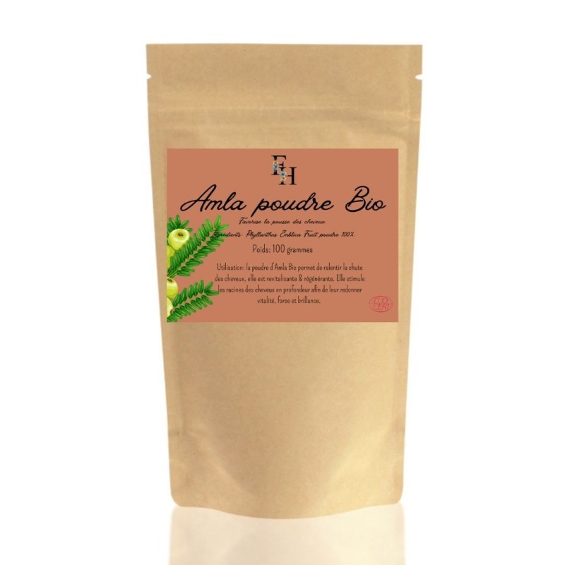 AMLA poudre ayurvédique BIO - Sachet de 100 grammes