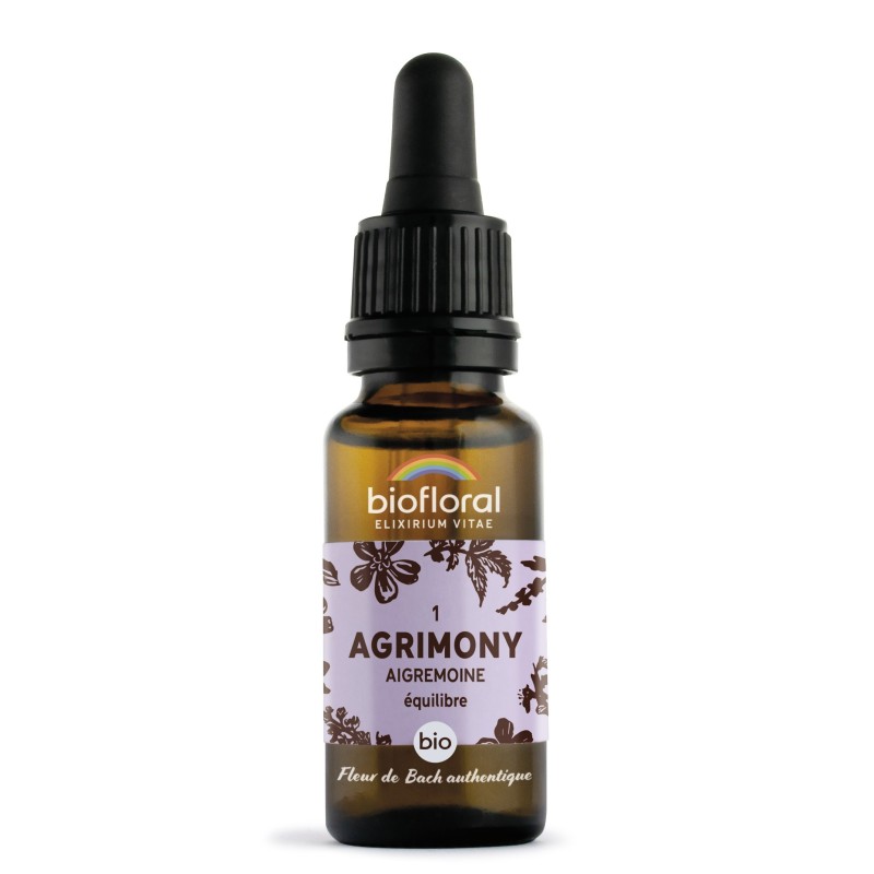 n°1 aigremoine, agrimony