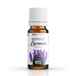 Ätherisches Öl LAVANDIN SUPER BIO AB - 10ml