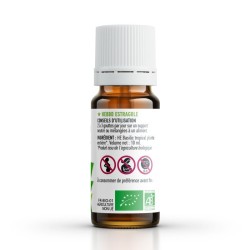 Huile essentielle BASILIC TROPICAL BIO AB 10 ML.