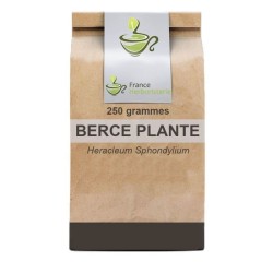 Berce tea - Bag of 100 grams - France Herboristerie