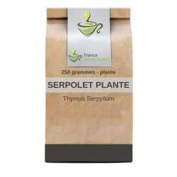 Herbal tea Serpolet plants 100 GRS - France Herboristerie