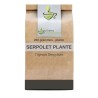 Herbal tea Serpolet plants 100 GRS - France Herboristerie