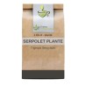 Herbal tea Serpolet plants 100 GRS - France Herboristerie