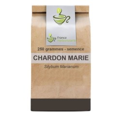 Tisane Chardon Marie seed 100 GRS - France Herboristerie