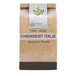 Chiendent Tisane Italia radice 100 GRS - France Herboristerie