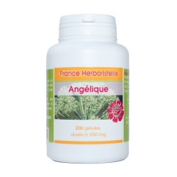 GELULES ANGELIQUE racine 120 gélules dosées à 280 mg. - France Herboristerie