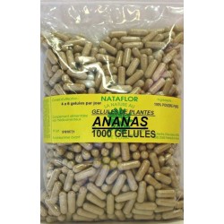 CAPSULE ANANAS gambo 120 capsule dosate a 250 mg.- France Herboristerie