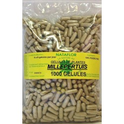 GELULES MILLEPERTUIS plante 120 gélules dosées à 250 mg. - France Herboristerie