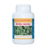 RACINE ORTIE GELULES - 250 mg pure powder.