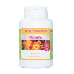 PILOSELLE Pflanze 120 Kapseln mit einer Dosierung von 210 mg - GELESEN France Herboristerie