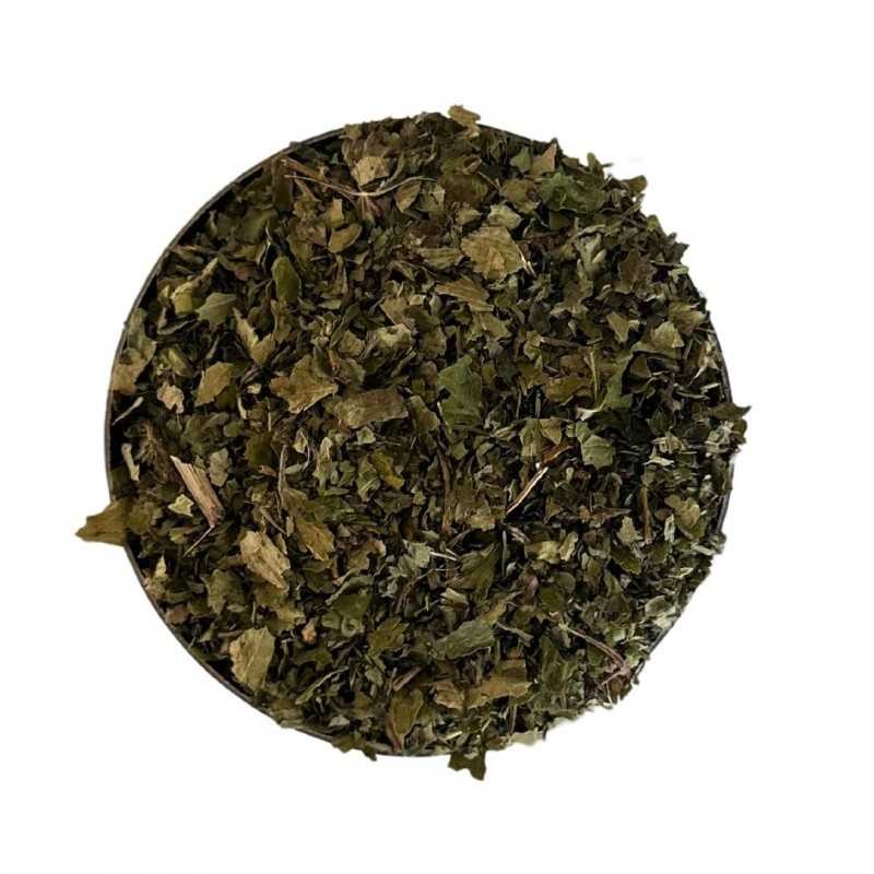 Té de fresa 1kg (Fragaria vesca) - Bolsa de 1kg ( hojas cortadas)