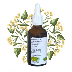 Complejo de dormir - Saule & Tilleul Bourgeons - Gemmoterapia 50 ml botella