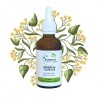 Sleep Complex - Willow & Linden Buds - Gemmotherapy 50ml bottle