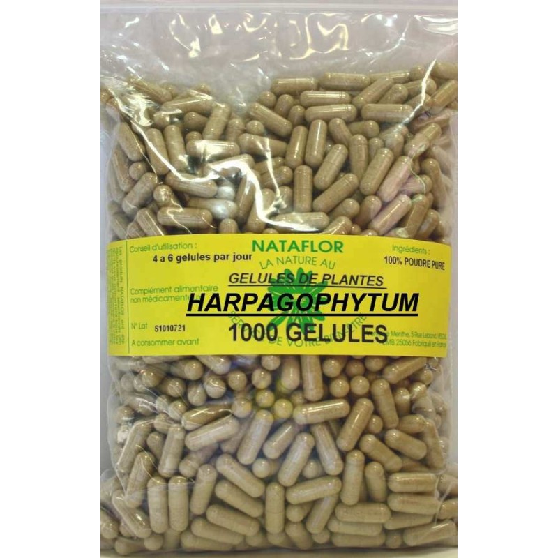 GELULES HARPAGOPHYTUM 300 mg 1000 GELULES