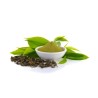 Ortie piquante feuille 250 g POUDRE Urtica dioica