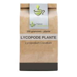 Lycopode plante 100 GRS Lycopodium clavatum.