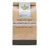 Millepertuis plante 100 GRS Hypericum perforatum