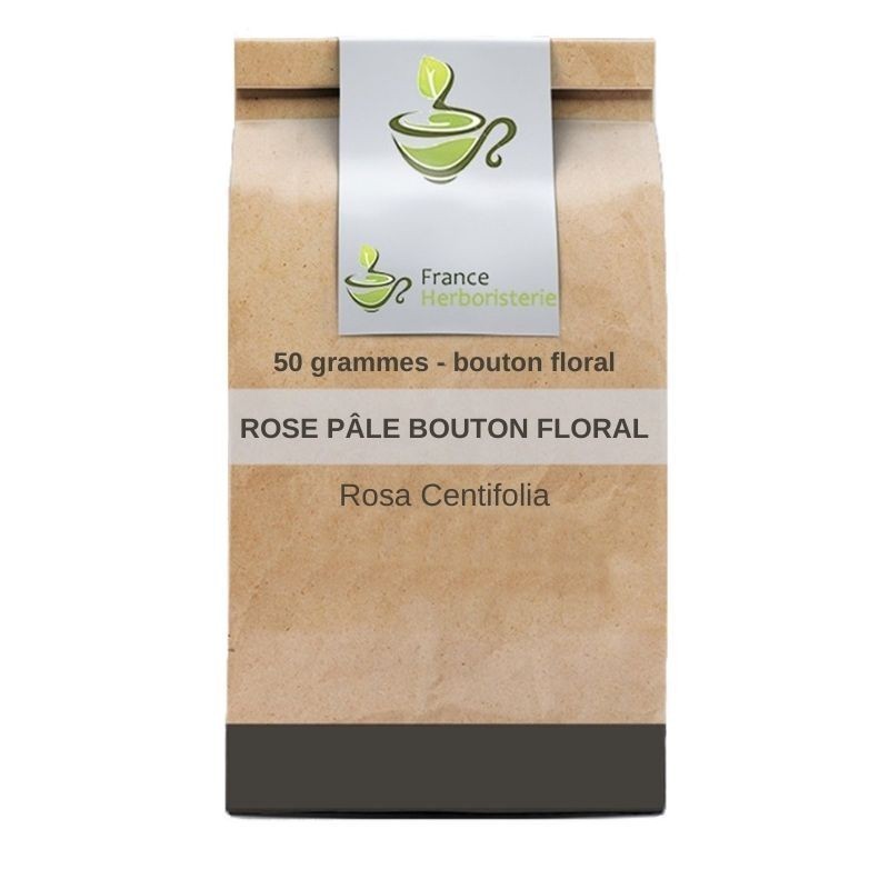 Rose pale bouton floral 50 GRS (Rosa centifolia).