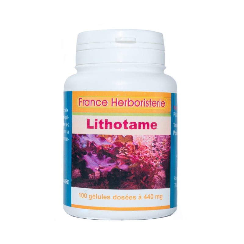 GELULES LITHOTAME 440 mg 100 gélules