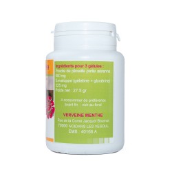 GELULES PILOSELLE plante 200 mg 100 gélules