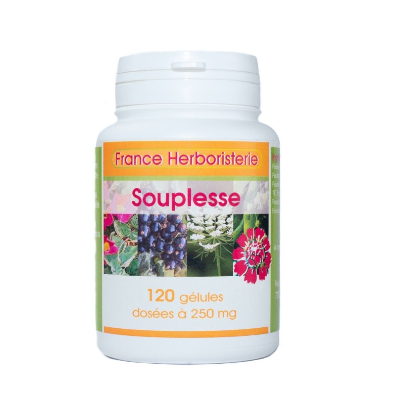 SOUPLESSE ARTICULAIRE 120 gélules 250 mg poudre pure