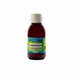 Extrait hydroalcoolique Harpagophytum BIO - 125ml - Phytofrance