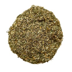 Luzerne (Alfalfa) Pflanze 100 GRS Medicago sativa