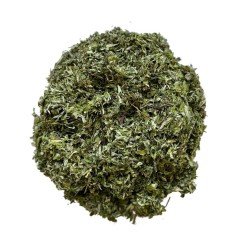 Tisane Armoise feuille 100 GRS CT Artemisia vulgaris