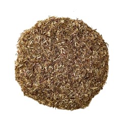 Tisane Aurône mâle plante 100 GRS Artemisia abrotanum.