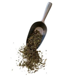 Tisane Ballote Fétide 100 GRS (Marrube Noir) plante Ballota nigra.