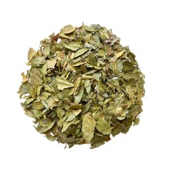 Tisane Boldo feuille 100 GRS Peumus boldus.