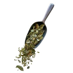 Tisane Boldo feuille 100 GRS Peumus boldus.