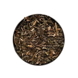 Tisane Chicorée feuille CT 100 GRS Cichorium intybus