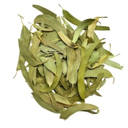 Tisane Eucalyptus feuille 100 GRS ENTIERE extra Eucalyptus globulus