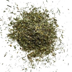 Tisane Euphraise 100 GRS (Casse lunette) plante Euphrasia officinalis