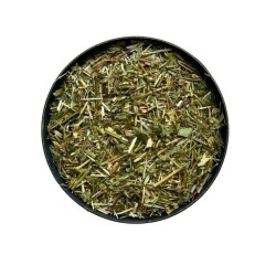 Tisane Euphraise 100 GRS (Casse lunette) plante Euphrasia officinalis