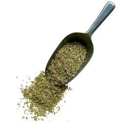 Tisane Fenouil semence ENTIERE 100 GRS Foeniculum dulce