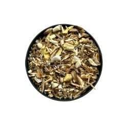 Tisane Fenouil RACINE 100 GRS Foeniculum dulce.