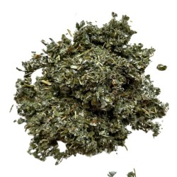 Framboisier (rubus idaeus) - 100g