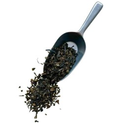 Tisane Fucus vésiculeux 100 GRS (Varech) thalleFucus vesiculosus