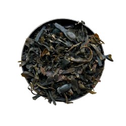 Tisane Fucus vésiculeux 100 GRS (Varech) thalleFucus vesiculosus