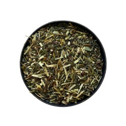 Tisane Grémil officinal plante 100 GRS Milium solis.