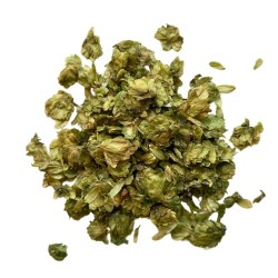 Tisane Houblon cône100 GRS Humulus lupulus