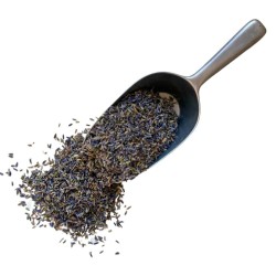 Tisane Lavande fleur triée surchoix 100 GRS Lavandula angustifolia