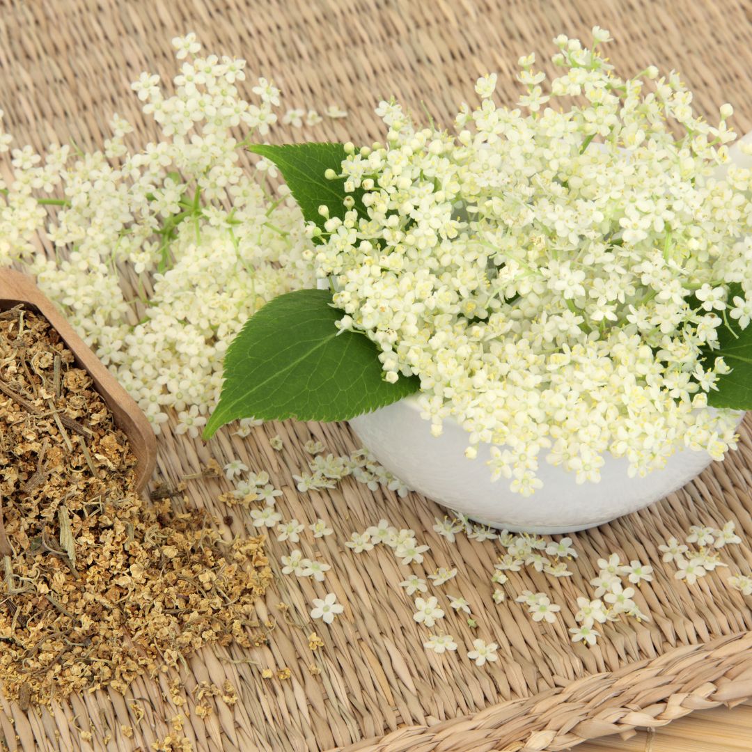 Meadowsweet: origin, preparation and benefits