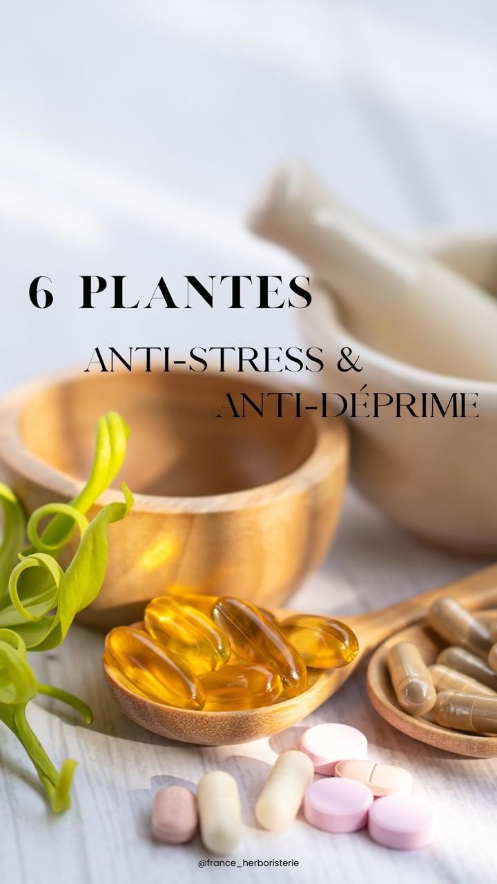 6 plantes pour retrouver du PEP’S!🤠✨

1. La Passiflore permet de réduire l’anxiété et le stress. Elle est indispensable pour rétablir l’équilibre émotionnel et lutter contre les troubles de l’humeur. 

2. La Valériane est connue pour ses vertus anxiolytiques et anti dépressives. Elle agit naturellement sur la nervosité, les palpitations et les pertes de mémoire. Elle est reconnue comme un sédatif léger. 

3. La Mélisse est apaisante, elle aide à réduire la nervosité et elle aussi est également légèrement sédative. Cette plante permet d’améliorer l’humeur. 

4. La Camomille Matricaire permet de diminuer l’agitation. Diminue l’état d’anxiété chez le personnes souffrant de troubles de l’anxiété généralisée. La Camomille aide à sortir de la déprime. 

5. Le Rhodiola est très utile pour faire face à des périodes stressantes. Cette plante dispose aussi d’effets bénéfiques sur les performances mentales et la concentration. Améliore l’humeur également. 

6. Le Griffonia permet de diminuer les angoisses et de travailler sur soi afin d’avoir une meilleure estime de soi-même. Ne pas utiliser le Griffonia chez les personnes épileptiques, et en même temps qu’une prise de millepertuis ou de gentiane.